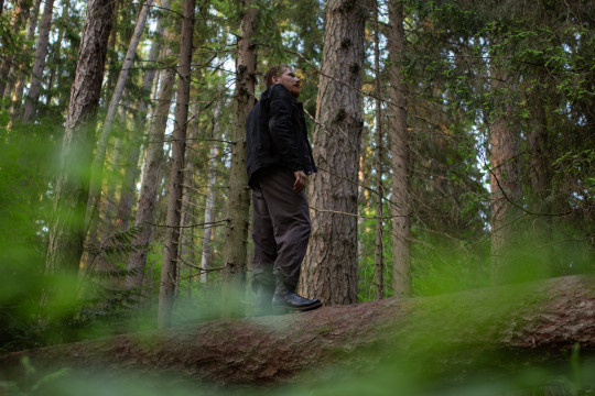 Лесоруб Джон Ю4