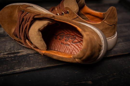 Летняя Пума 192