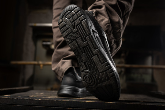 Летний Пегас 250
